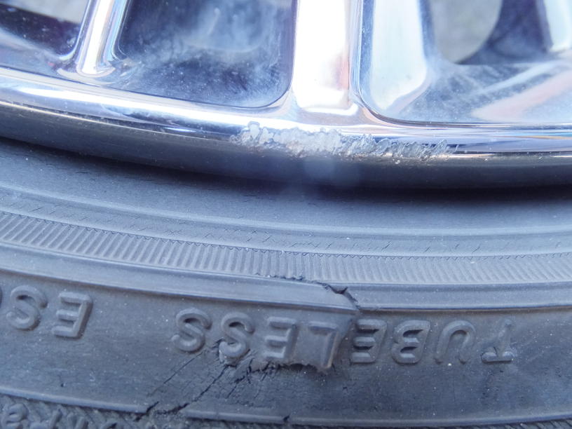 RAYS VOUGE S{Zbg@Á@LY